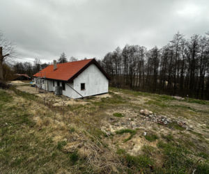 Zabrali dzieciom psa jak rzecz