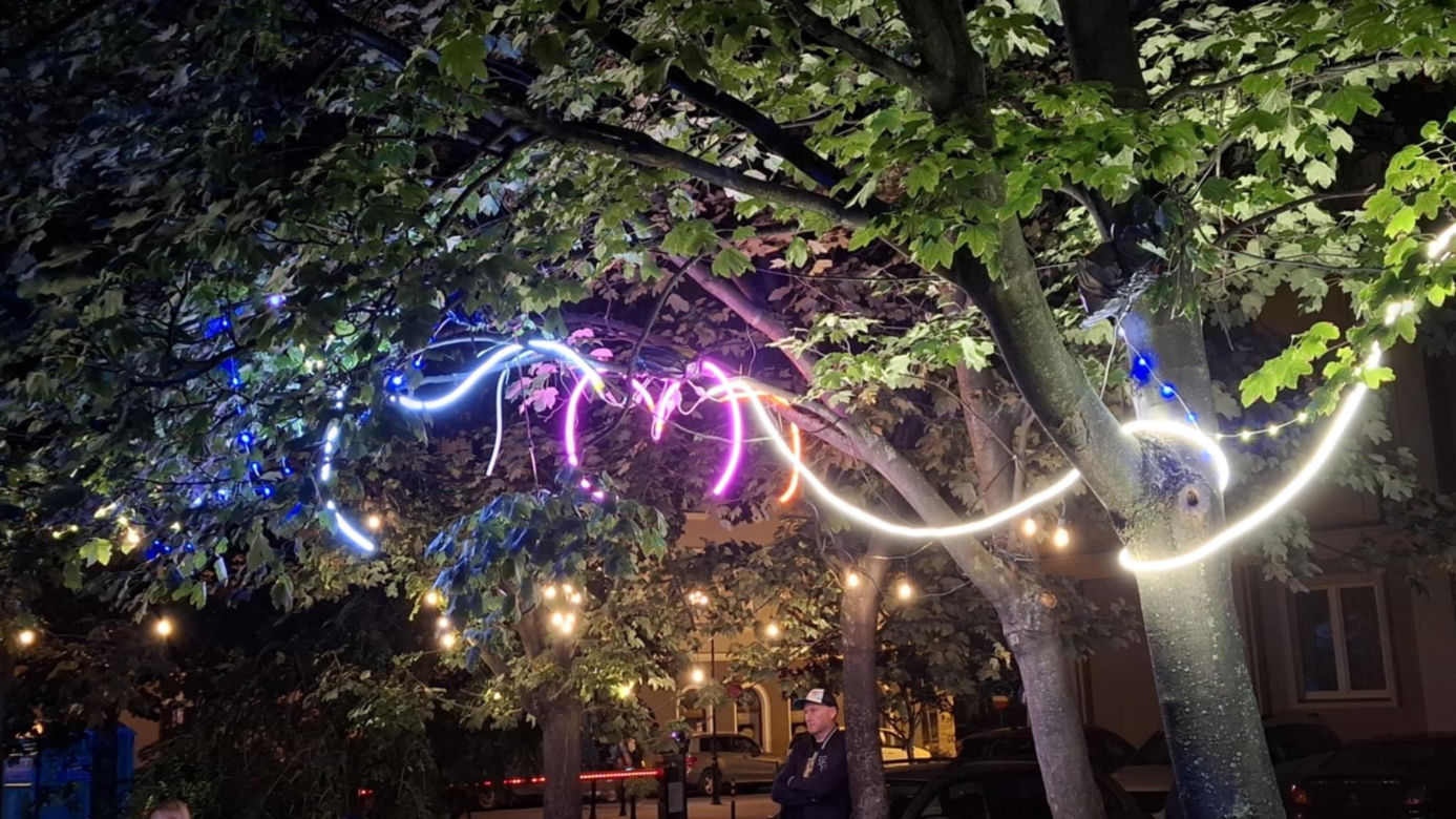 Daria ze Śląska, Kasia Lins i Maria Sol wystąpiły w Kaliszu w ramach 19. edycji festiwalu Multi Art