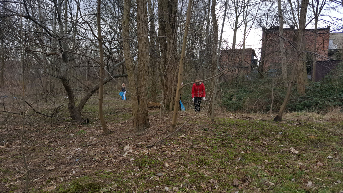 Akcja „Mysłowice: Czyste miasto”