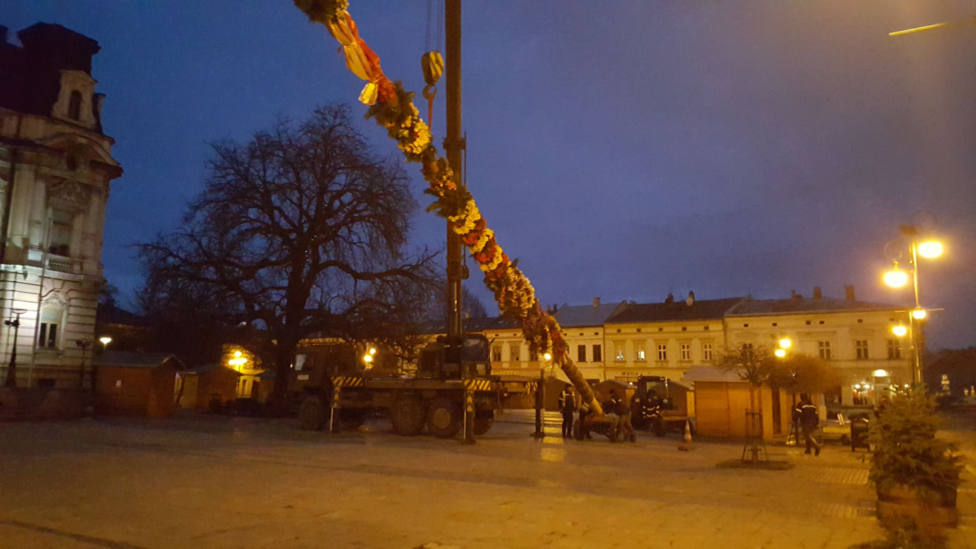  Gigantyczna palma wielkanocna  w Nowym Sączu