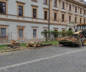 Rozpoczął się remont ulicy Piłsudskiego w Tarnowie