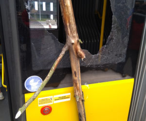 Drzewo wybiło szybę w łódzkim autobusie