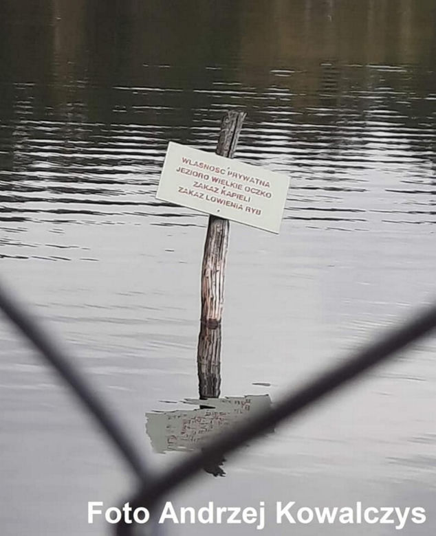 Jezioro Wielkie Oczko ogrodzone płotem. Zwierzęta odcięte od wody. Radny Gdańska: "Takiej dewastacji dawno nie widziałem"