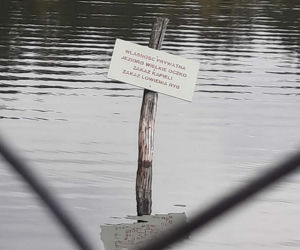 Jezioro Wielkie Oczko ogrodzone płotem. Zwierzęta odcięte od wody. Radny Gdańska: Takiej dewastacji dawno nie widziałem
