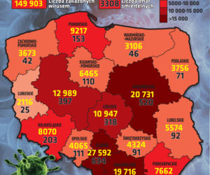 Koronawirus w Polsce. Statystyki, wykresy, grafiki (15 października)