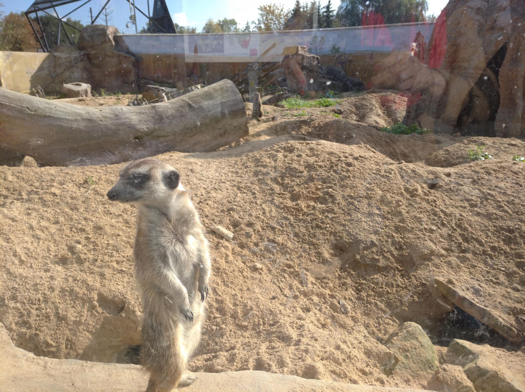 Ogród zoologiczny im. Stefana Milera w Zamościu