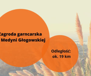 Majówka 2022: Gdzie na szybka wycieczkę z Rzeszowa? Ciekawe atrakcje 