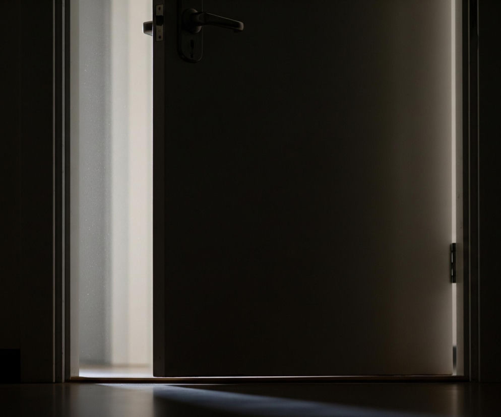 Uchylone ciemne drzwi zajmują centralną i prawą część kadru, z ciemną klamką widoczną w górnej, środkowej części. Jasne, pionowe pasmo światła, wpadające przez szczelinę między drzwiami a futryną, rozświetla lewą stronę obrazu oraz rzuca ukośny snop światła na ciemną podłogę. Otoczenie po lewej i prawej stronie drzwi, a także górna część pomieszczenia, są pogrążone w głębokim cieniu.