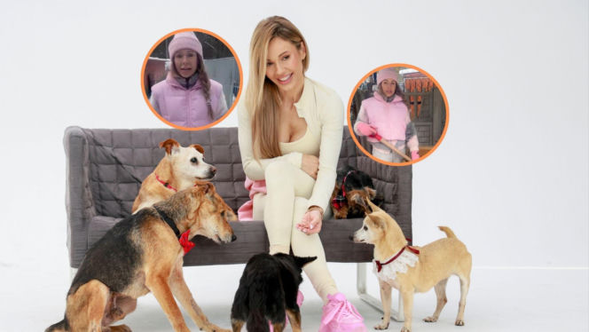 Niepokojące fakty po spotkaniu z władzami. Doda pokazuje dokumenty i stawia pytania