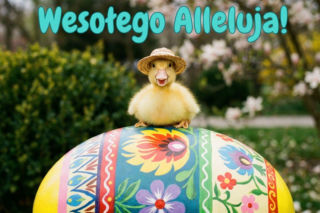 Śmieszne kartki na Wielkanoc 2026 do pobrania za darmo