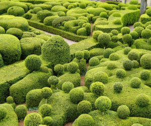 Topiary