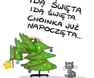 Śmieszne obrazki, które rozbawią każdego