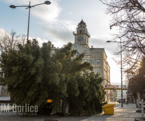 Gorlice: Na rynku już stoi choinka. Jest piękna. MUSISZ ją zobaczyć