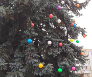 Choinka miejska Siedlce