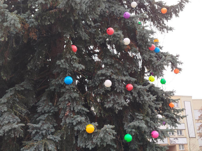 Choinka miejska Siedlce