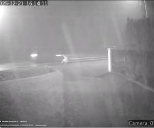 Dramat pod Krakowem. Seniorka czołgała się po jezdni, minęło ją kilkanaście samochodów