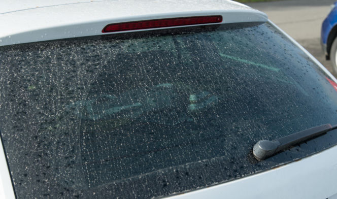 Pył z Sahary na autach