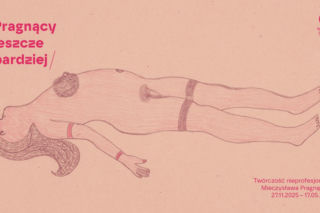 Wystawa Pragnący jeszcze bardziej w Muzeum Śląskim