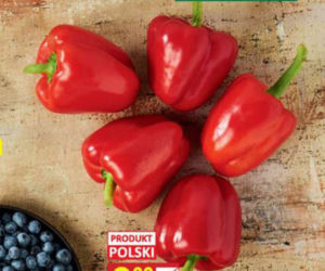 Giga promocje w Biedronce od 12.08