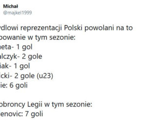 Reakcja internautów na powołania Sousy