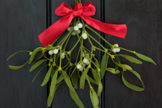 Jemioła w domu przynosi szczęście? Tylko wtedy, gdy tak ją potraktujesz. Ludowe przesądy