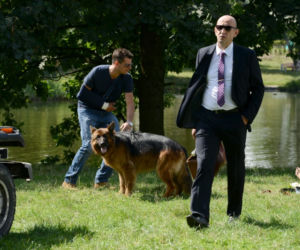 Komisarz Alex 4 sezon odcinek 12 (odc. 51). Michał Orlicz (Antoni Pawlicki), Leon (Janusz Chabior)
