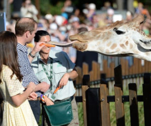 Księżna Kate w ZOO
