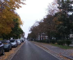 Powstała wyjątkowa aplikacja Bydgoskie Przedmieście. Tego jeszcze nie było!