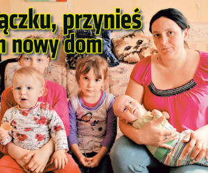 Zajączku, przynieś nam nowy dom