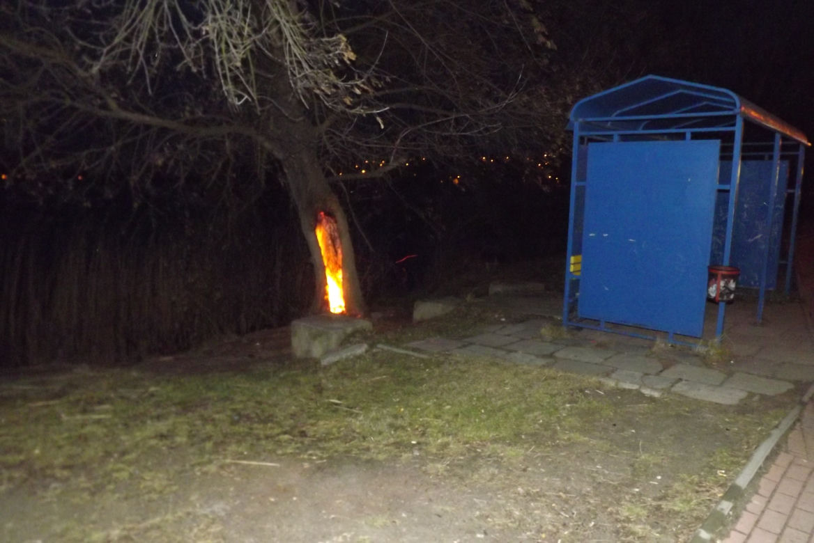 Człowiek guma, półnaga kobieta, wędkarz naturysta -czyli nietypowe interwencje Starży Miejskiej Starachowice