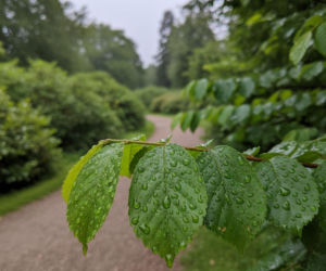 Weekend w Gdańsku z rosnącą temperaturą. Niedziela będzie najcieplejsza, ale z deszczem