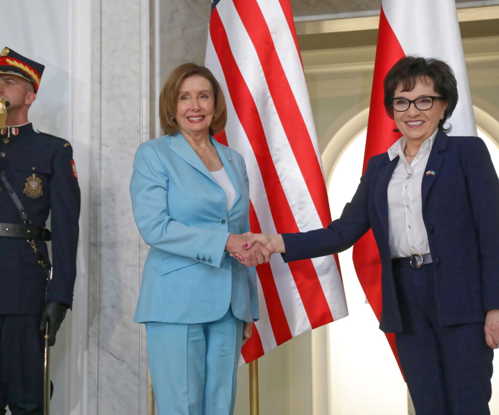 Pelosi Witek