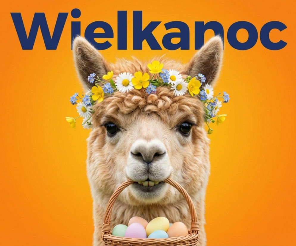 Darmowe kartki na Wielkanoc 2026