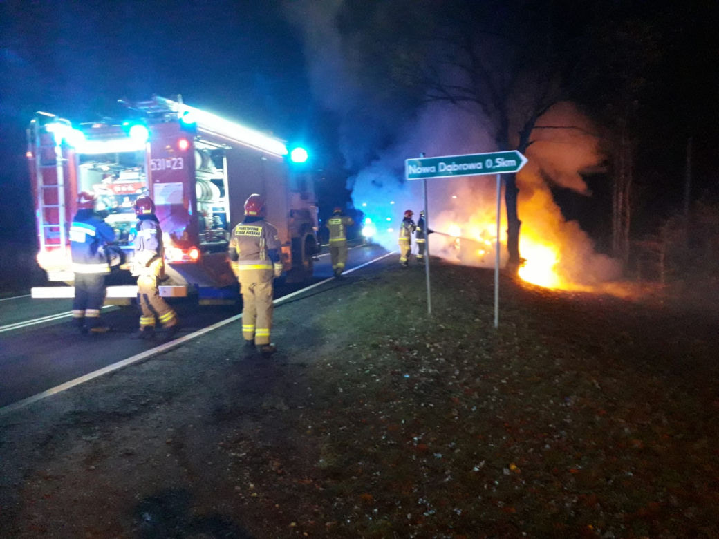 Aleksandrów. Uratował zwierzę, ale sam mógł zginąć! Spowodował pożar! [ZDJĘCIA]