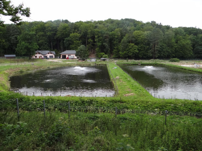 To najbardziej niedoceniona wieś w województwie śląskim. Jest tam szlak cudownych źródeł