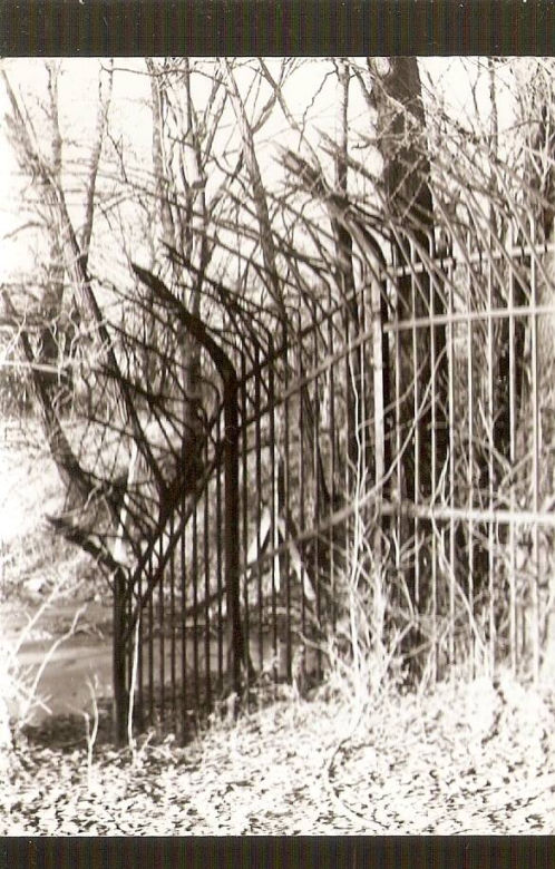 Fort Piechoty numer 6 "Polanowice"
