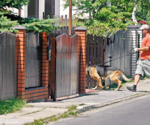 Rurabomber terroryzuje Kraków