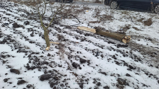 BMW wypadło z drogi i dachowało! Jedna osoba trafiła do szpitala [ZDJĘCIA]