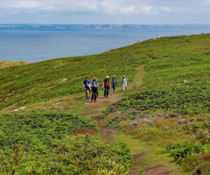 Oferują darmowe mieszkanie na wyspie w zamian za liczenie ptaków. Pierwsza tura za chwilę