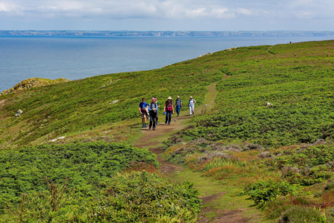 Oferują darmowe mieszkanie na wyspie w zamian za liczenie ptaków. Pierwsza tura za chwilę