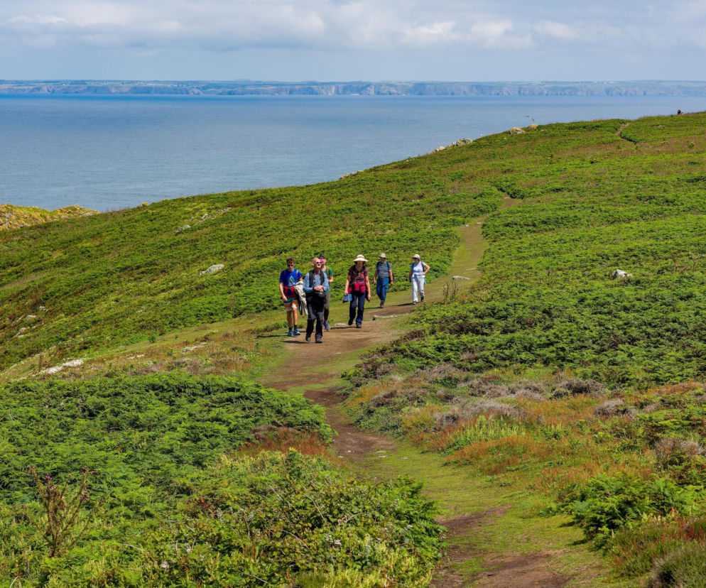 Oferują darmowe mieszkanie na wyspie