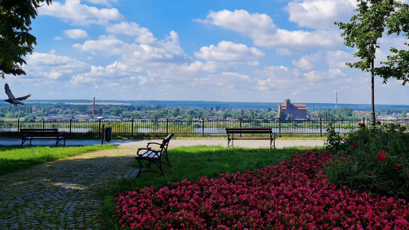 Płock