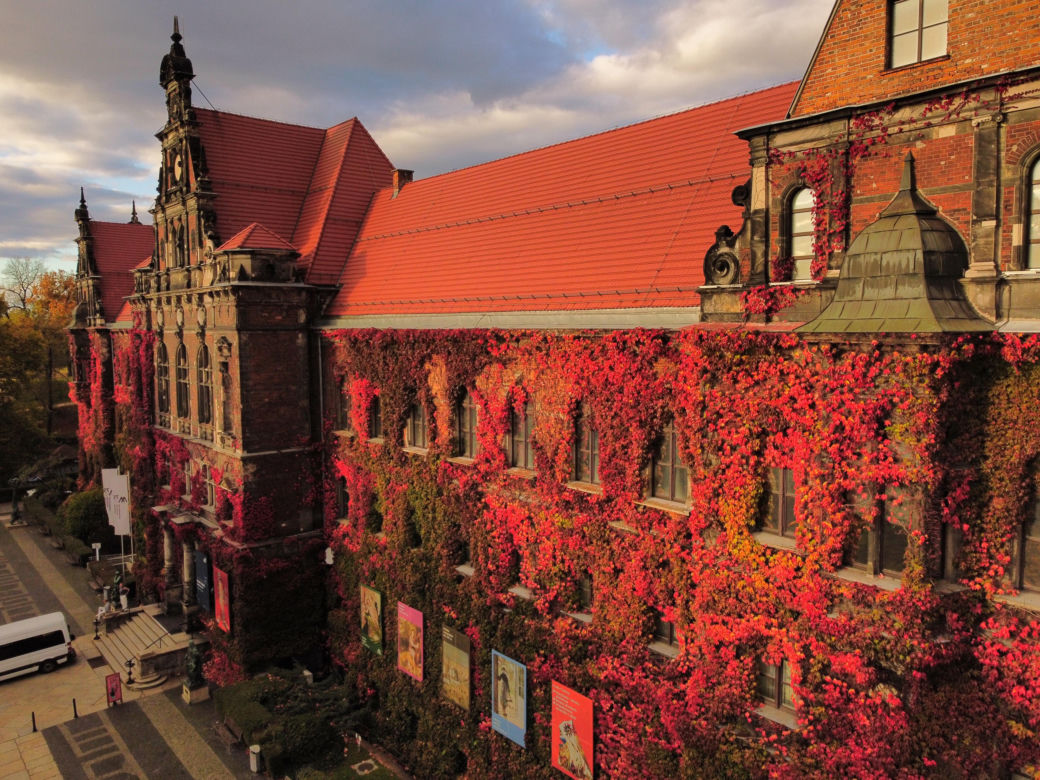 Te widoki zapierają dech w piersiach. Piękna jesień we Wrocławiu   