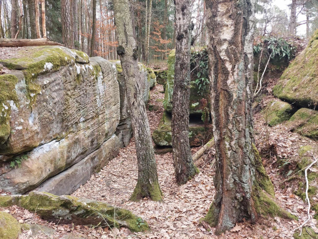 Rezerwat Przyrody "Skały pod Adamowem"