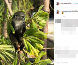 Natasza Urbańska wypoczywa na Zanzibarze