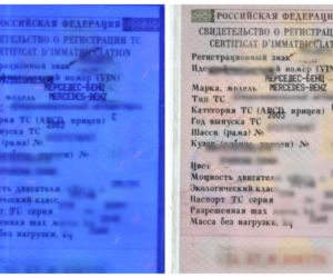 Chciał przechytrzyć strażników. Okazał sfałszowany dowód rejestracyjny pojazdu [FOTO]