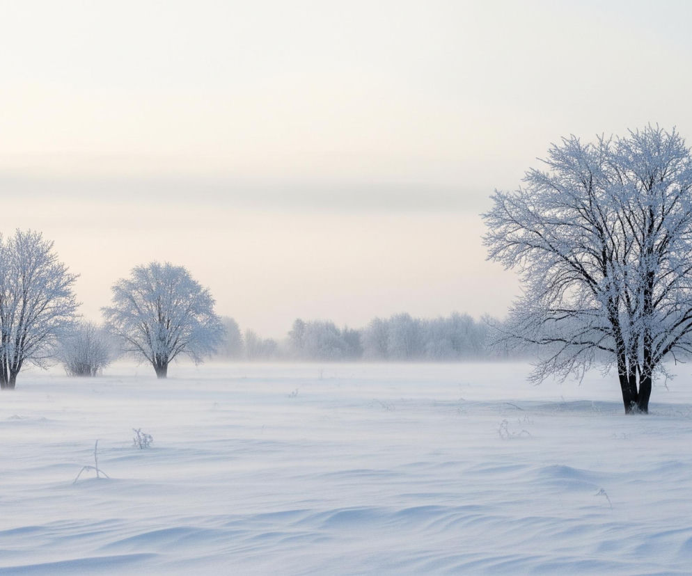 Na pierwszym planie rozciąga się równina pokryta głębokim, zmrożonym śniegiem, tworzącym miękkie, faliste pagórki i cienie w odcieniach bieli i jasnego błękitu. Po prawej stronie dominuje pojedyncze drzewo o gęstej, zaśnieżonej koronie, której czarne gałęzie kontrastują z białym szronem. Za nim, w oddali, widać rząd podobnych, pokrytych szronem drzew, zlewających się z mglistym, jasnoróżowo-szarym horyzontem. Niebo, zajmujące górną część kadru, ma bladą, jednolitą barwę, przechodzącą od niemal białego na górze do delikatnego różu i szarości bliżej horyzontu.