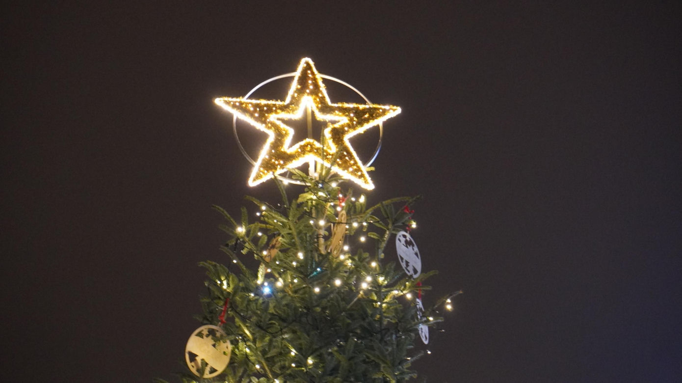 Lublin życzy „Wesołych świąt”. Tak się prezentują świąteczne iluminacje