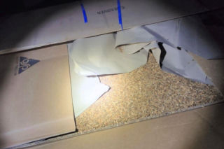 Celnicy przechwycili nielegalny tytoń