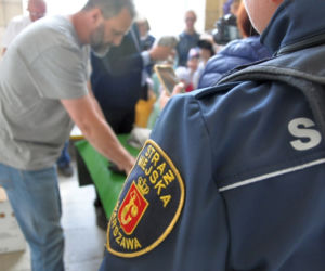 Sokoły wylecą na ulice. Mieszkają w najważniejszym budynku Warszawy 